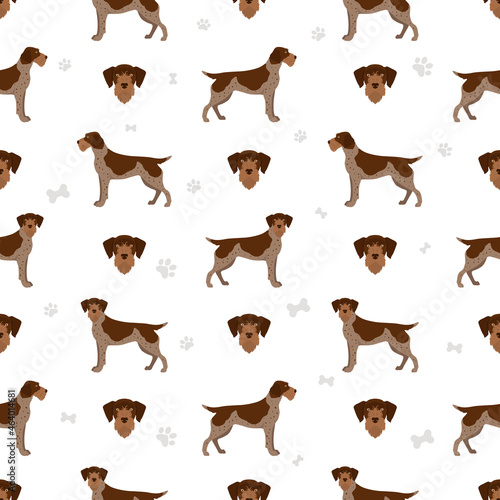 German wirehaired pointer seamless pattern. Different poses, coat colors set