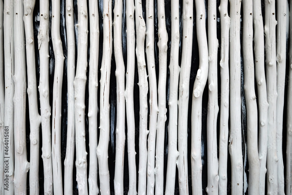 Fototapeta premium texture of bamboo