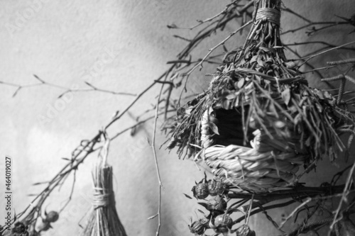 Nido - Nest