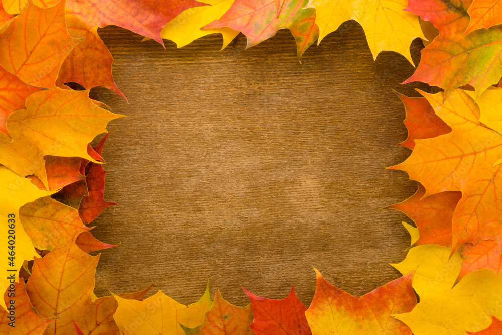 Frame of fresh beautiful colorful maple leaves. Closeup. Autumn concept. Empty place for inspirational text, quote or sayings on dark brown wooden table background. Top down view. Frame of fresh beautiful colorful maple leaves. Closeup. Autumn concept. Empty place for inspirational text, quote or sayings on dark brown wooden table background. Top down view.