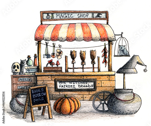 Cute autumn magic shop with pot, potion, owl  and pumpkin. Hand drawn ink pen and colored pencils illustration. photo