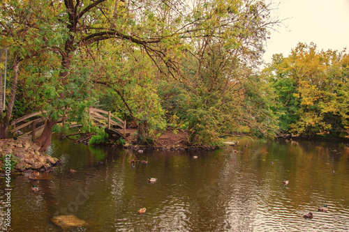 beautiful autumn photos in sprud park in bavaria ingolstadt