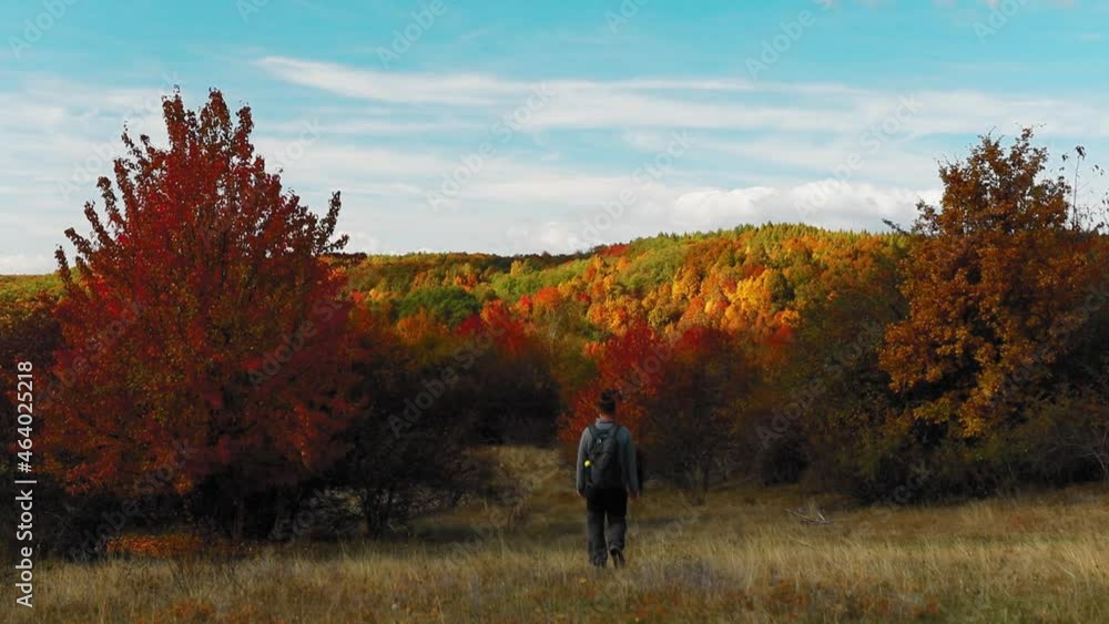 Amazing autumn landscape with a man walking towards the forest with colorful leaves Amazing autumn landscape with a man walking towards the forest with colorful leaves