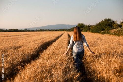 Charming woman enjoying moment, walking in grain field © oksix