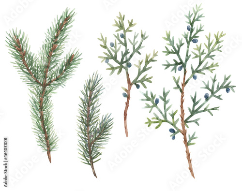 Beautiful floral christmas set with hand drawn watercolor winter fir tree branches. Stock 2022 winter illustration.