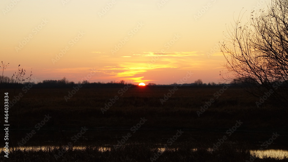 sunset over the field