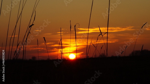 sunset over the field