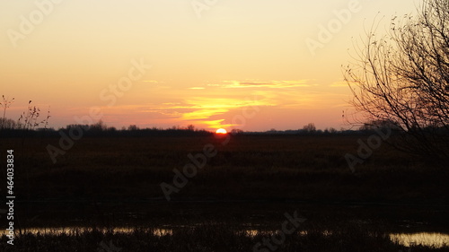 sunset over the field