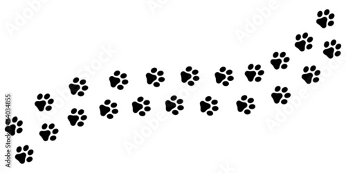 Dog and cat paw print