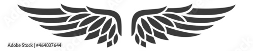 Falcon bird wings tatoo graphics vector illustration