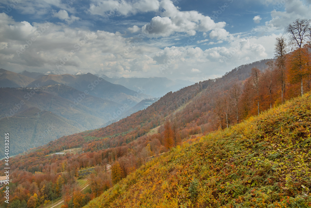 autumn landscape in mountains