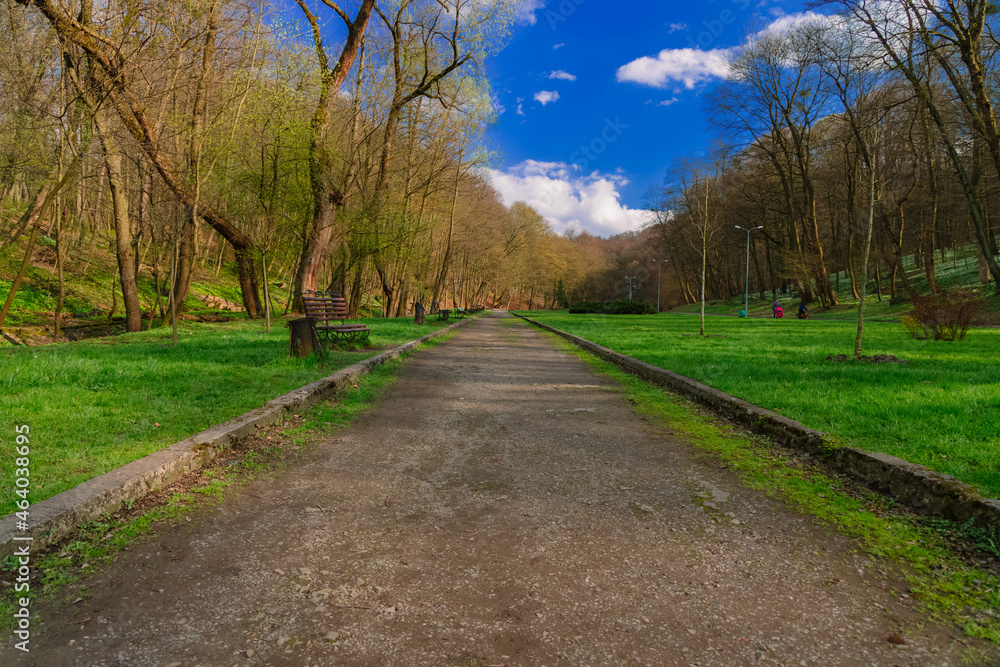March springtime park green zone morning walking outdoor environment space with road blue sky background