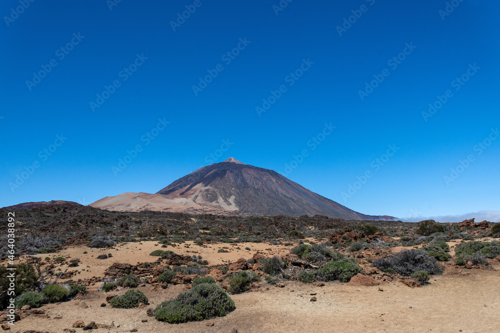 El Teide National Park with the Teide volcano in the background on a sunny day. Canary Islands, Tenerife, El Teide National Park with the Teide volcano in the background on a sunny day. Canary Islands, Tenerife,