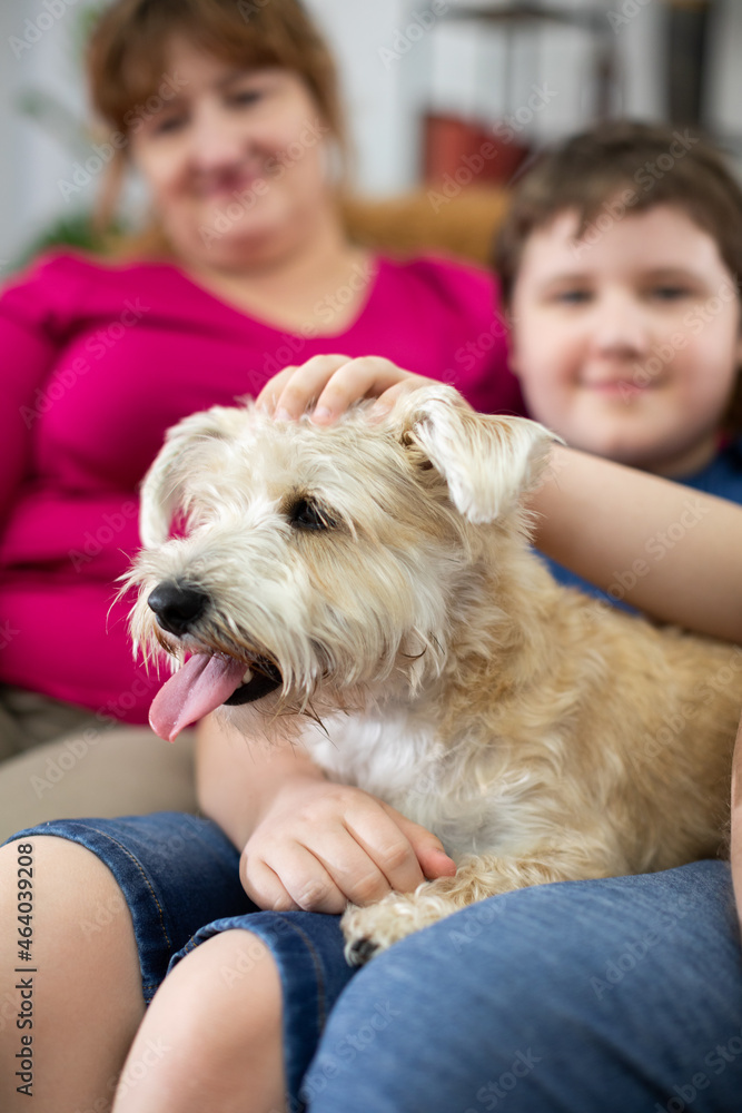 A child holds a shaggy dog in his lap. The dog has its mouth open and its tongue sticking out. A child holds a shaggy dog in his lap. The dog has its mouth open and its tongue sticking out.