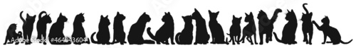 Fotografie, Obraz Front view of cats and kitten group walking or sitting vector silhouette collect