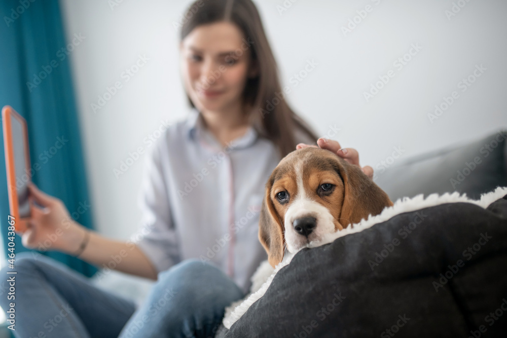 A cute young woman making selfie with her puppy and looking happy A cute young woman making selfie with her puppy and looking happy