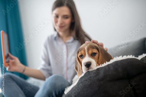 A cute young woman making selfie with her puppy and looking happy