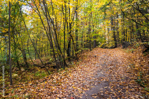 Bromont Quebec Canada hiking path