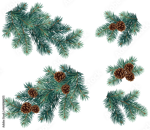 Realistic vector Christmas isolated tree branches with pine cones. 