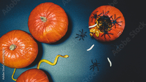 Halloween pumpkins on black background with spiders and worms (ID: 464050625)