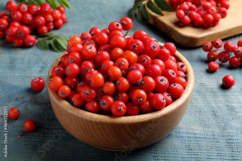 Fresh ripe rowan berries in wooden bowl on light blue table