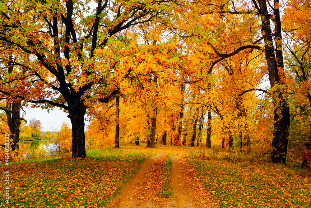 autumn landscape next to a river or lake, cloudy day 