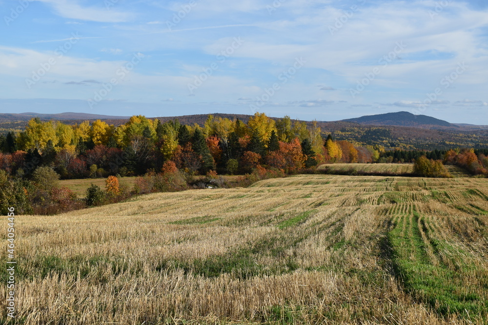 A field in autumn after the harves, Sainte-Apolline, Québec, Canada A field in autumn after the harves, Sainte-Apolline, Québec, Canada