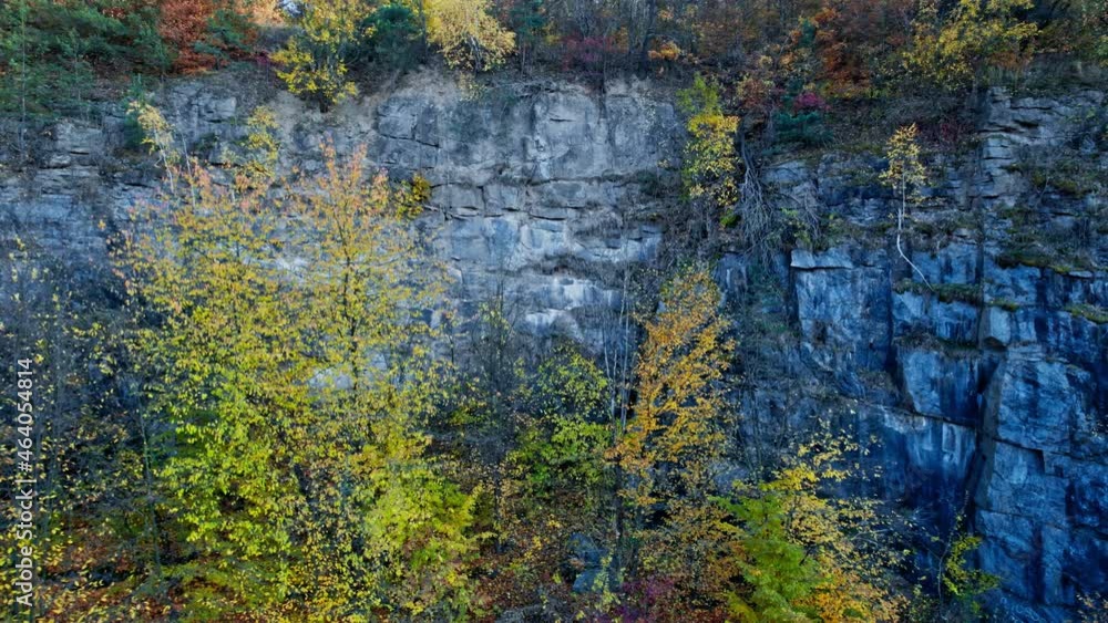 Aerial shot of forest in fall season Aerial shot of forest in fall season