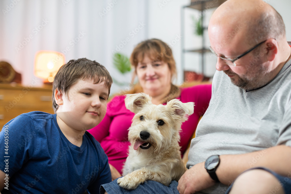 A typical family picture with a dog during an evening of relaxation and rest. A typical family picture with a dog during an evening of relaxation and rest.