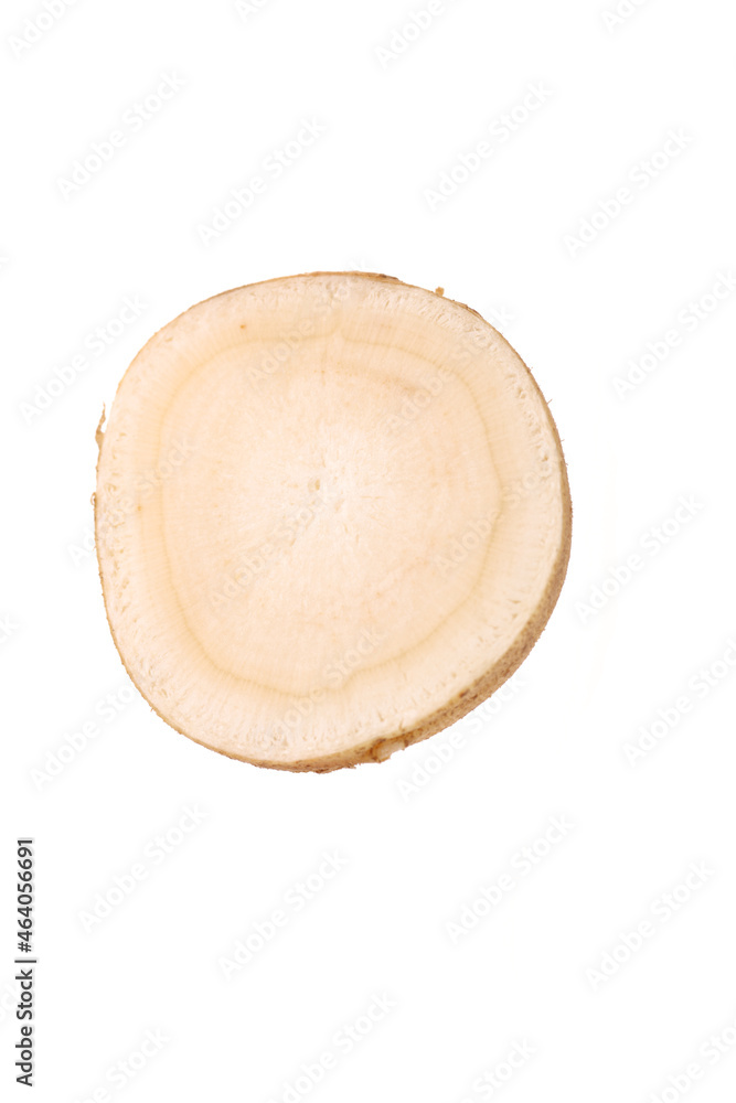 fresh ginseng on white background. fresh ginseng on white background.