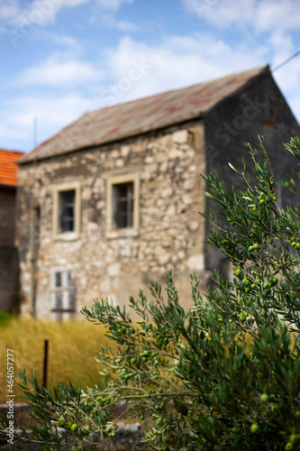 Beautiful old traditional dalmatian house on Krapanj island in Croatia