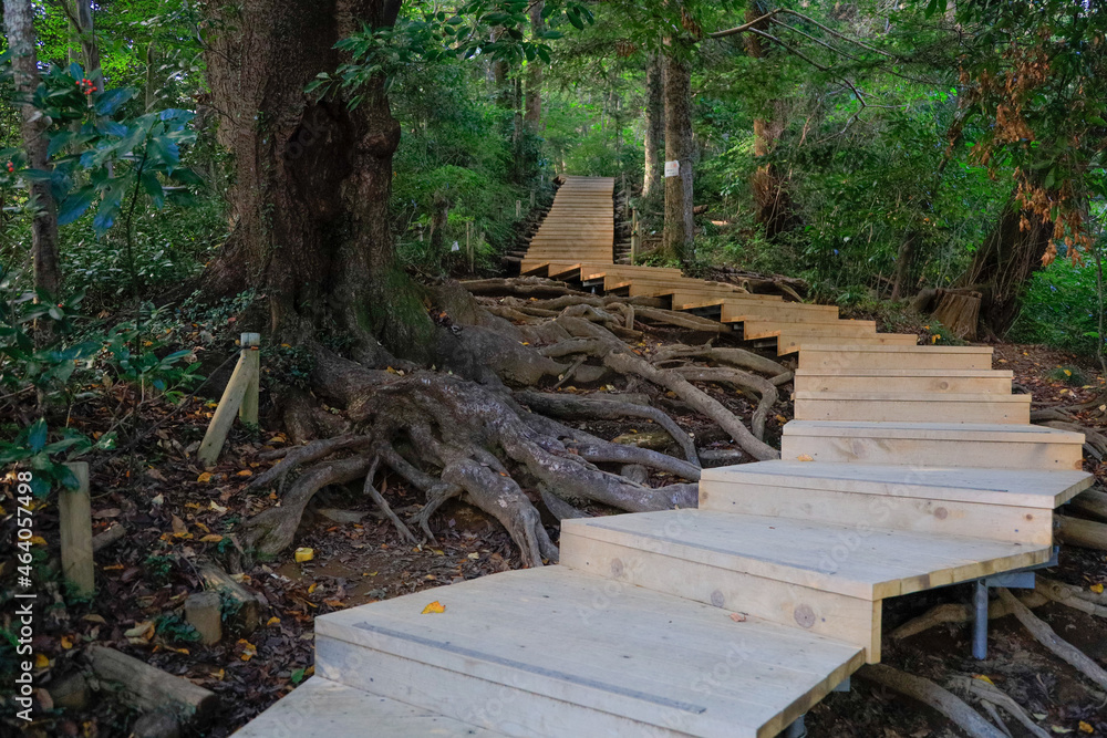 wooden bridge wooden bridge