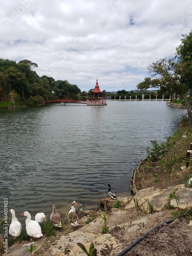 Eden's Garden in Portugal!