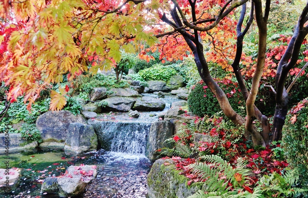 Fototapeta premium Herbstfarben im Japanischen Garten, Würzburg