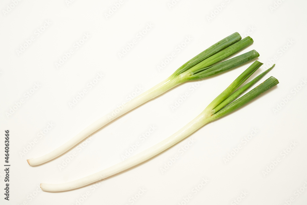 長葱 野菜 長葱 野菜