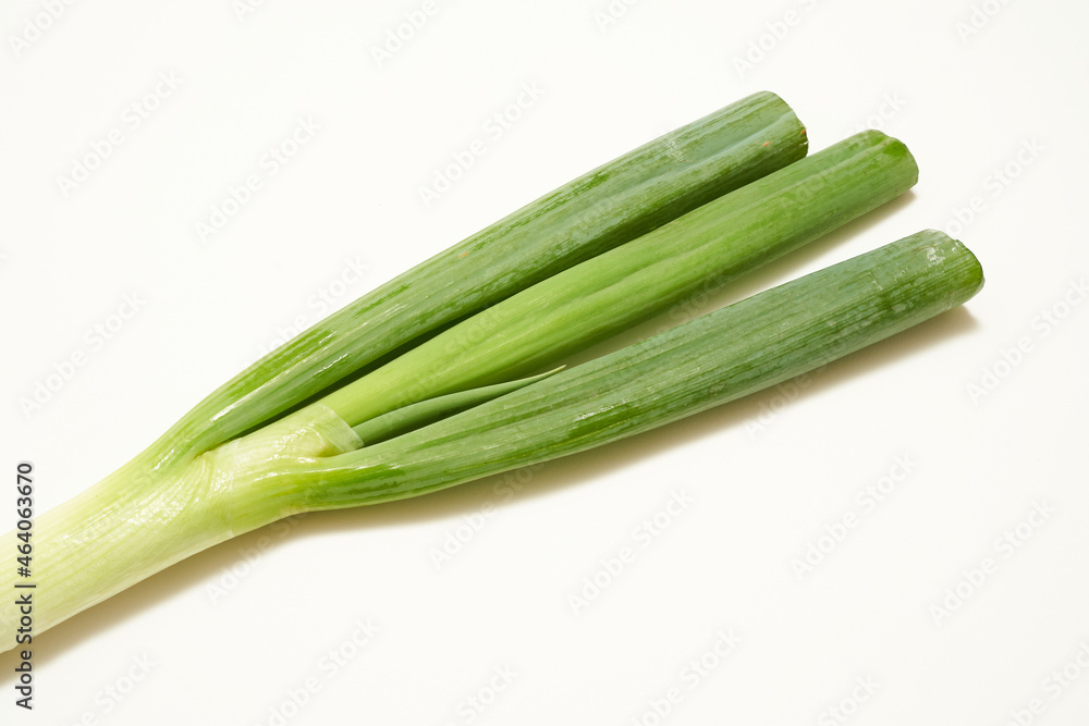 長葱 野菜 長葱 野菜