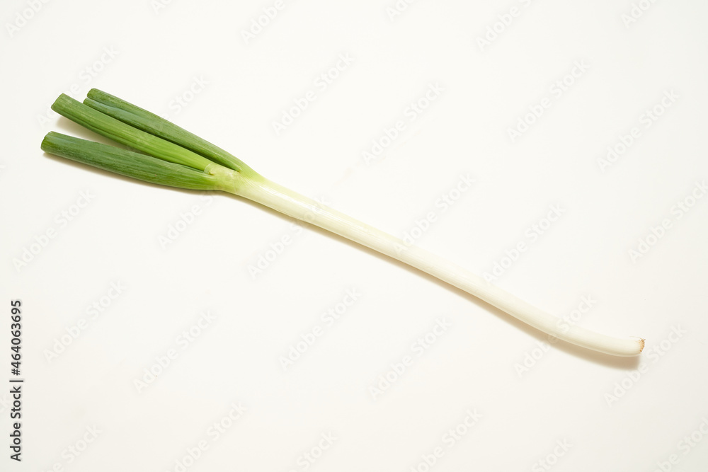 長葱 野菜 長葱 野菜