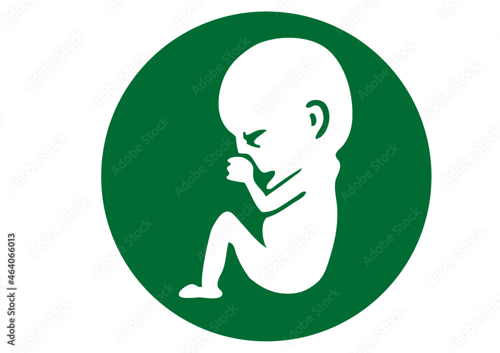 bébé baby bébé baby