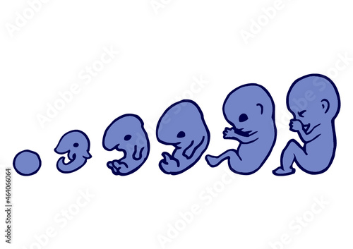 bébé baby
