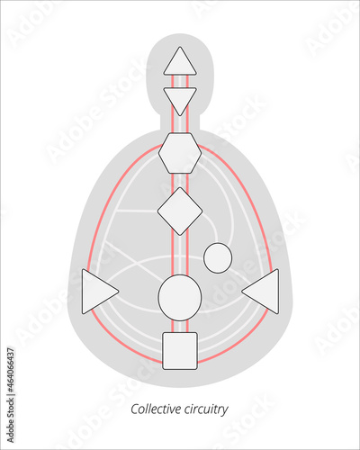 Human design bodygraph with collective circuitry. Human design rave chart vector illustration