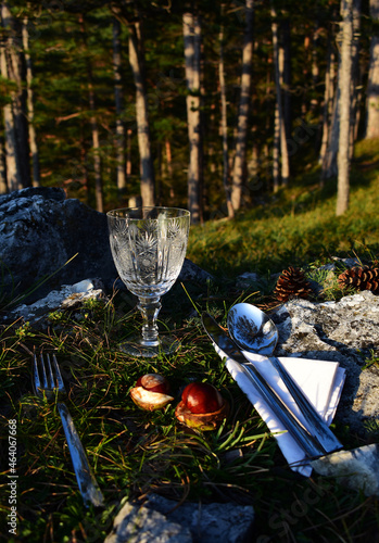 Besteck und Glas im Wald für natürliches Pick Nick photo