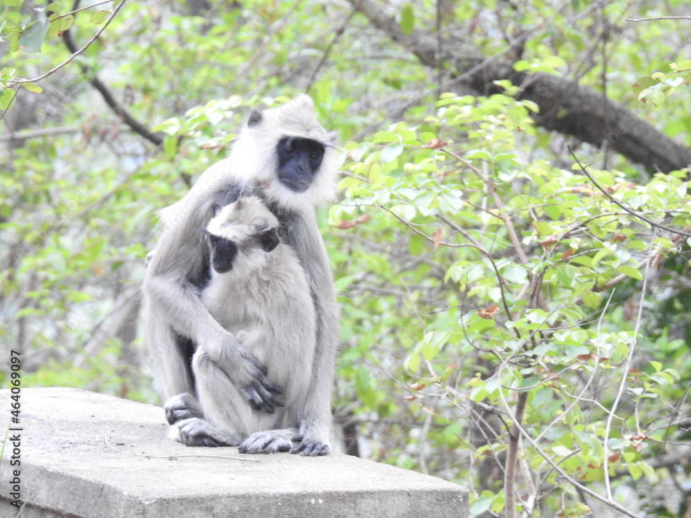 Obraz premium mother and child