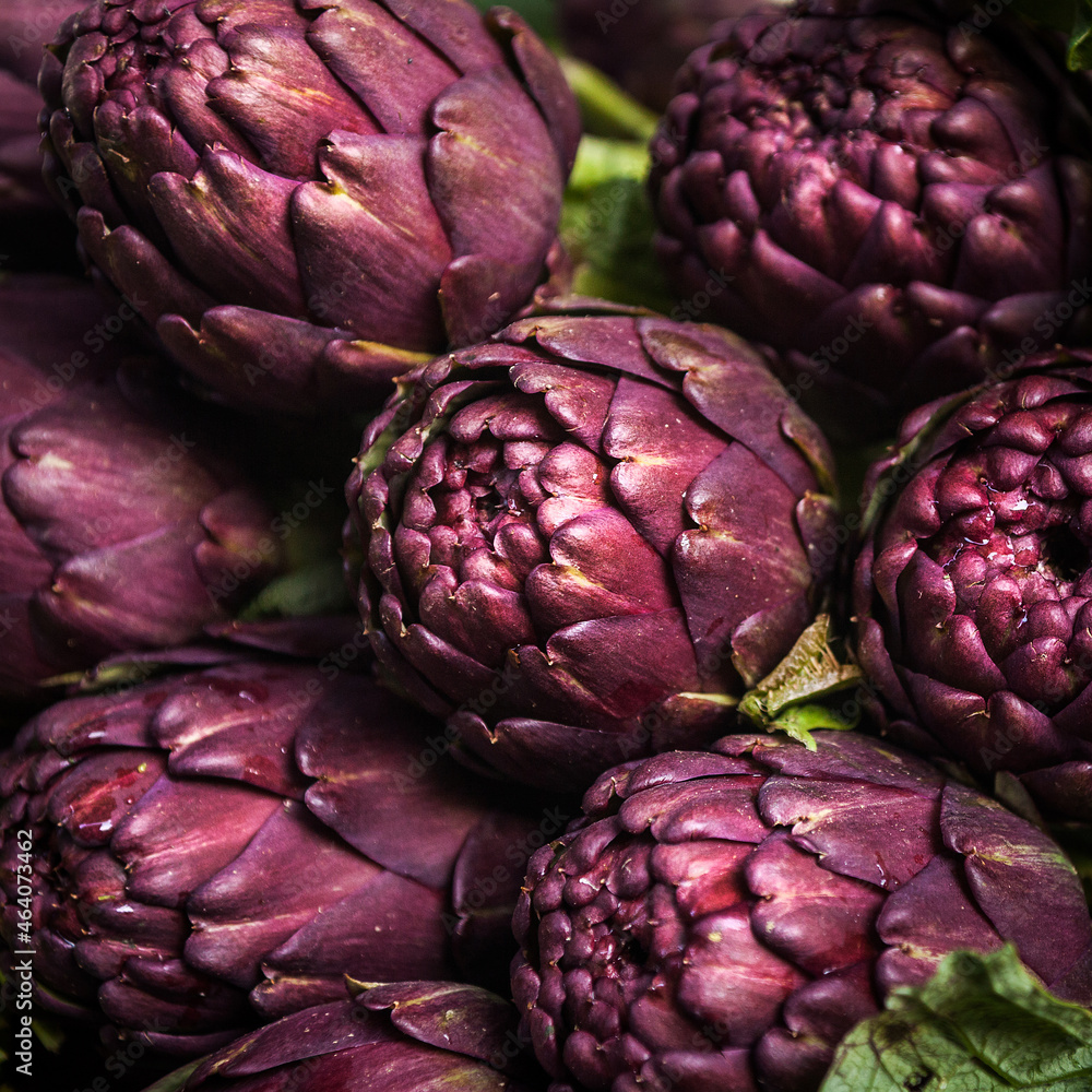 Artichokes - Violet Artichoke Artichokes - Violet Artichoke
