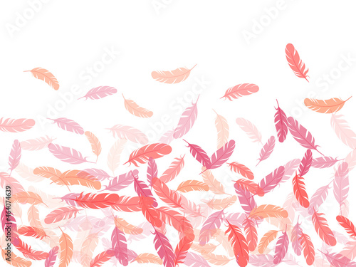 Detailed majestic feather on white design.