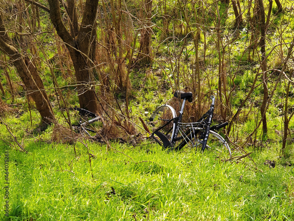 An old broken abandoned bicycle lies in the grass in the forest.