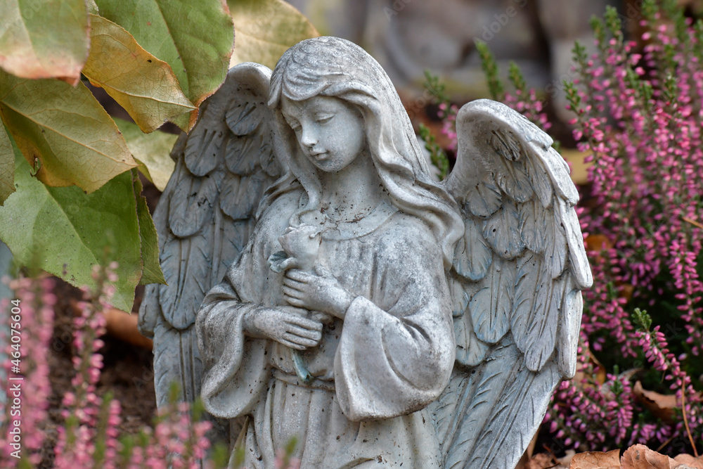 Obraz premium grabengel