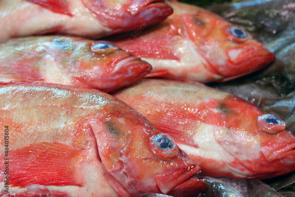Fresh fish on local fish market. Beautiful raw fish close up photo. Healthy eating concept. Fresh fish on local fish market. Beautiful raw fish close up photo. Healthy eating concept.