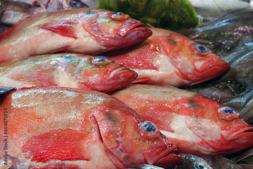 Fresh fish on local fish market. Beautiful raw fish close up photo. Healthy eating concept. 