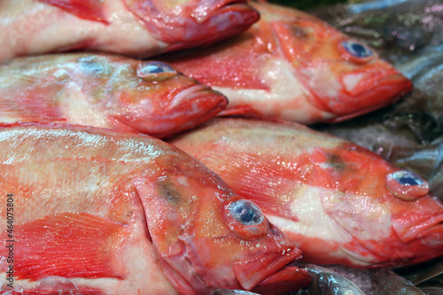 Fresh fish on local fish market. Beautiful raw fish close up photo. Healthy eating concept.  © Maya