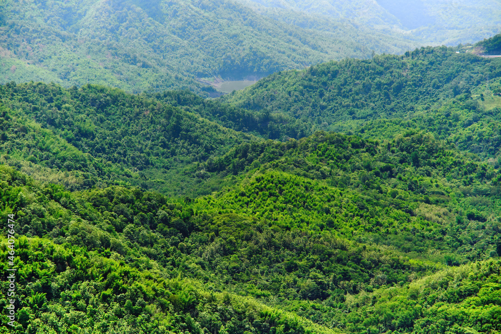 Obraz premium freshness green scenery mountain valley in day light in sunny season